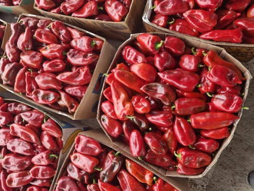 Cene i oglasi na pijacama