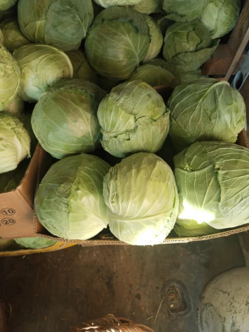 Cene i oglasi na pijacama