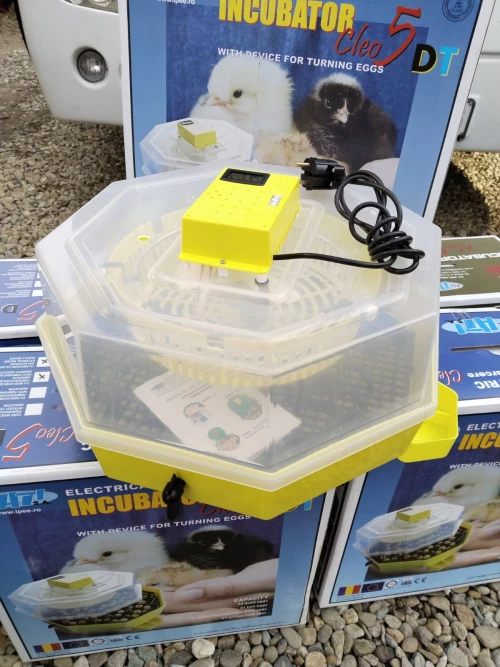 Cene i oglasi na pijacama