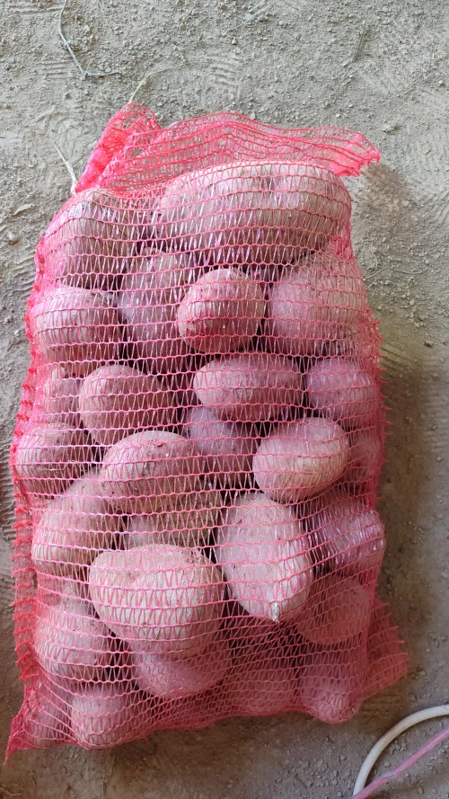 Cene i oglasi na pijacama