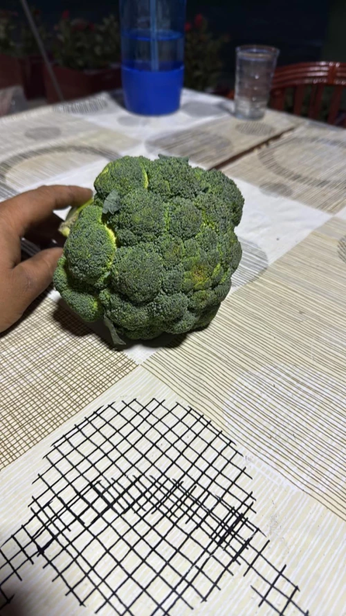 Cene i oglasi na pijacama