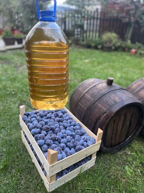 Cene i oglasi na pijacama