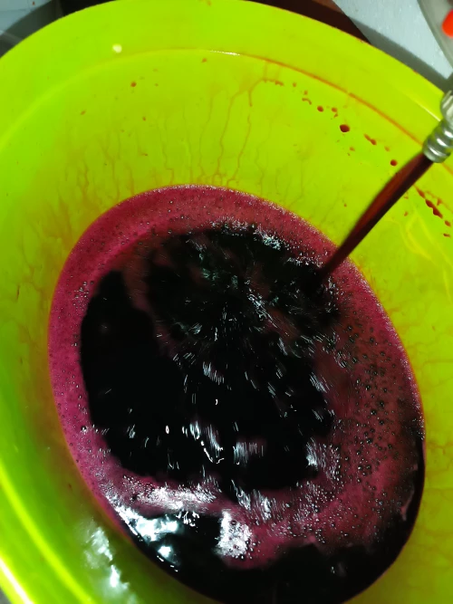 Cene i oglasi na pijacama