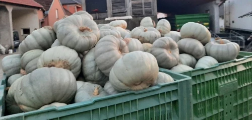 Cene i oglasi na pijacama