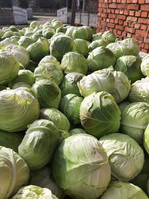 Cene i oglasi na pijacama