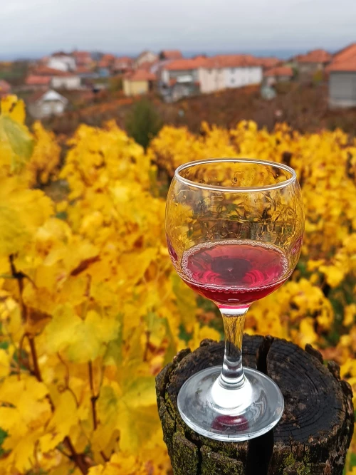 Cene i oglasi na pijacama