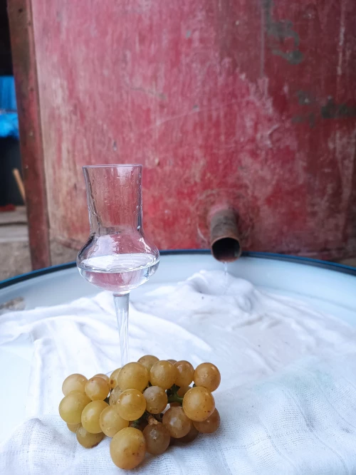 Cene i oglasi na pijacama