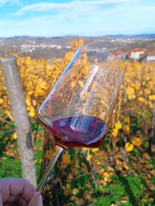 Cene i oglasi na pijacama