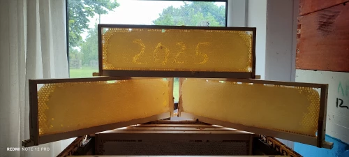 Cene i oglasi na pijacama