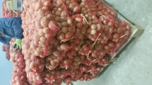 Cene i oglasi na pijacama