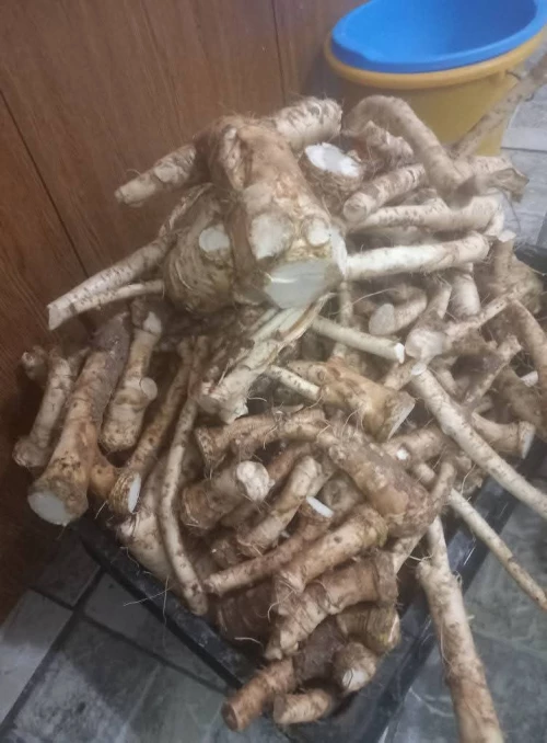 Cene i oglasi na pijacama