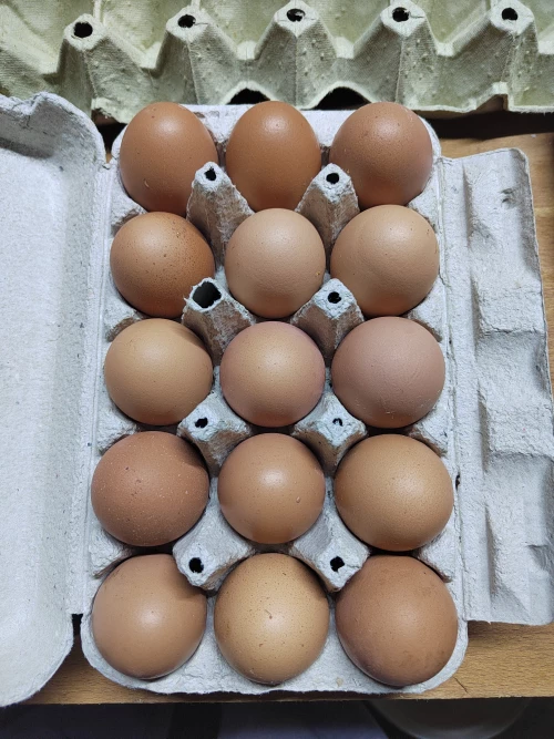 Cene i oglasi na pijacama