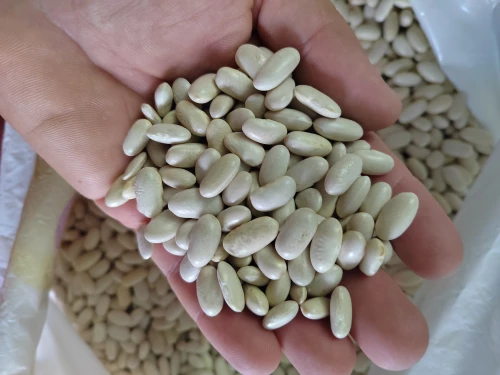 Cene i oglasi na pijacama