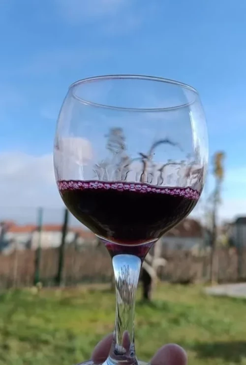 Cene i oglasi na pijacama