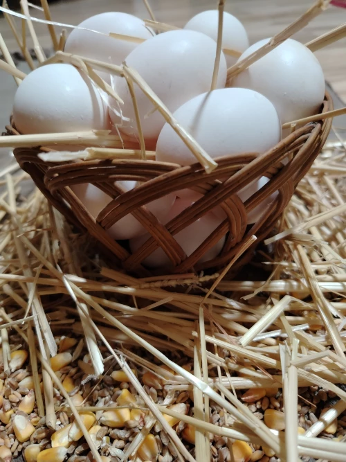 Cene i oglasi na pijacama