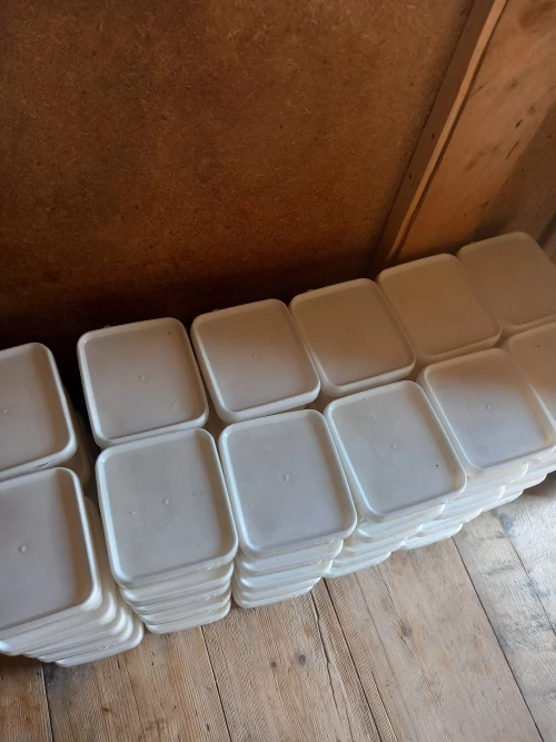 Cene i oglasi na pijacama