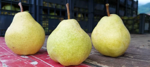 Cene i oglasi na pijacama